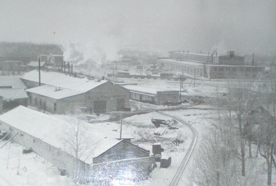Узкоколейная железная дорога Васильевского предприятия промышленного железнодорожного транспорта