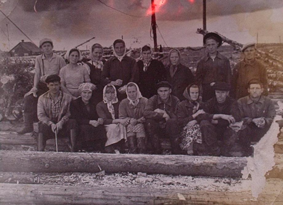 Каменская узкоколейная железная дорога