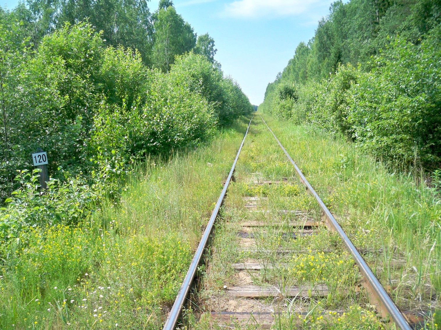 Монзенская железная дорога
  —  фотографии, сделанные в 2013 году (часть 8)