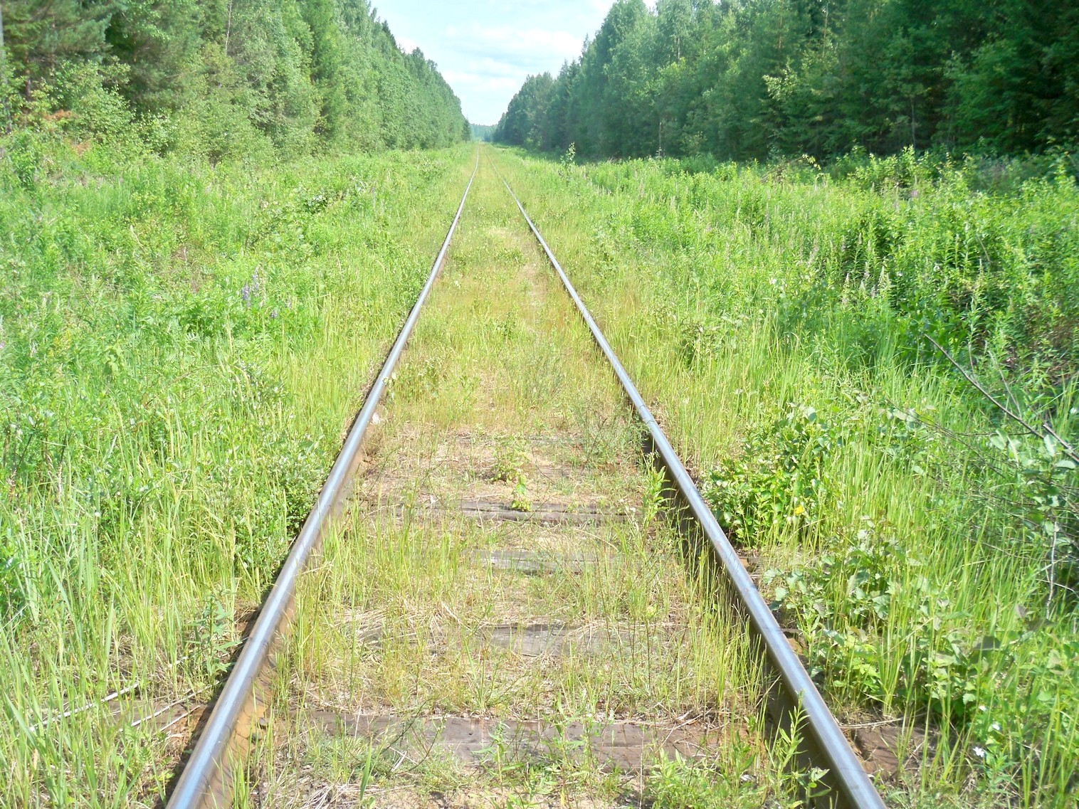 Монзенская железная дорога
  —  фотографии, сделанные в 2013 году (часть 9)