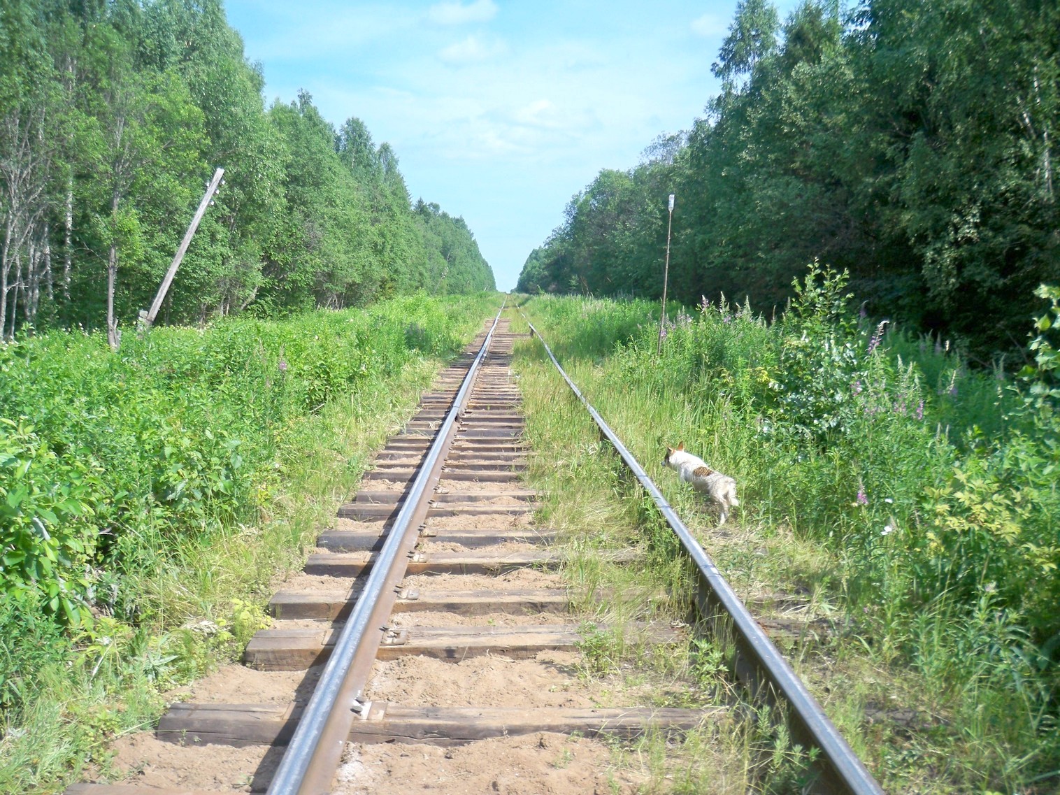 Монзенская железная дорога
  —  фотографии, сделанные в 2013 году (часть 11)