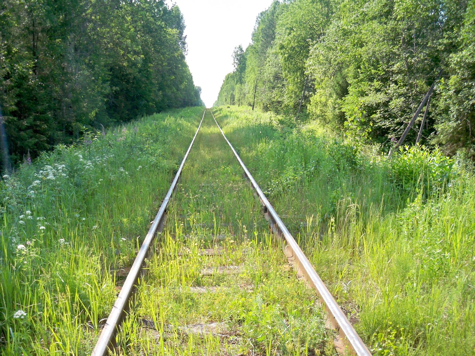 Монзенская железная дорога
  —  фотографии, сделанные в 2013 году (часть 12)