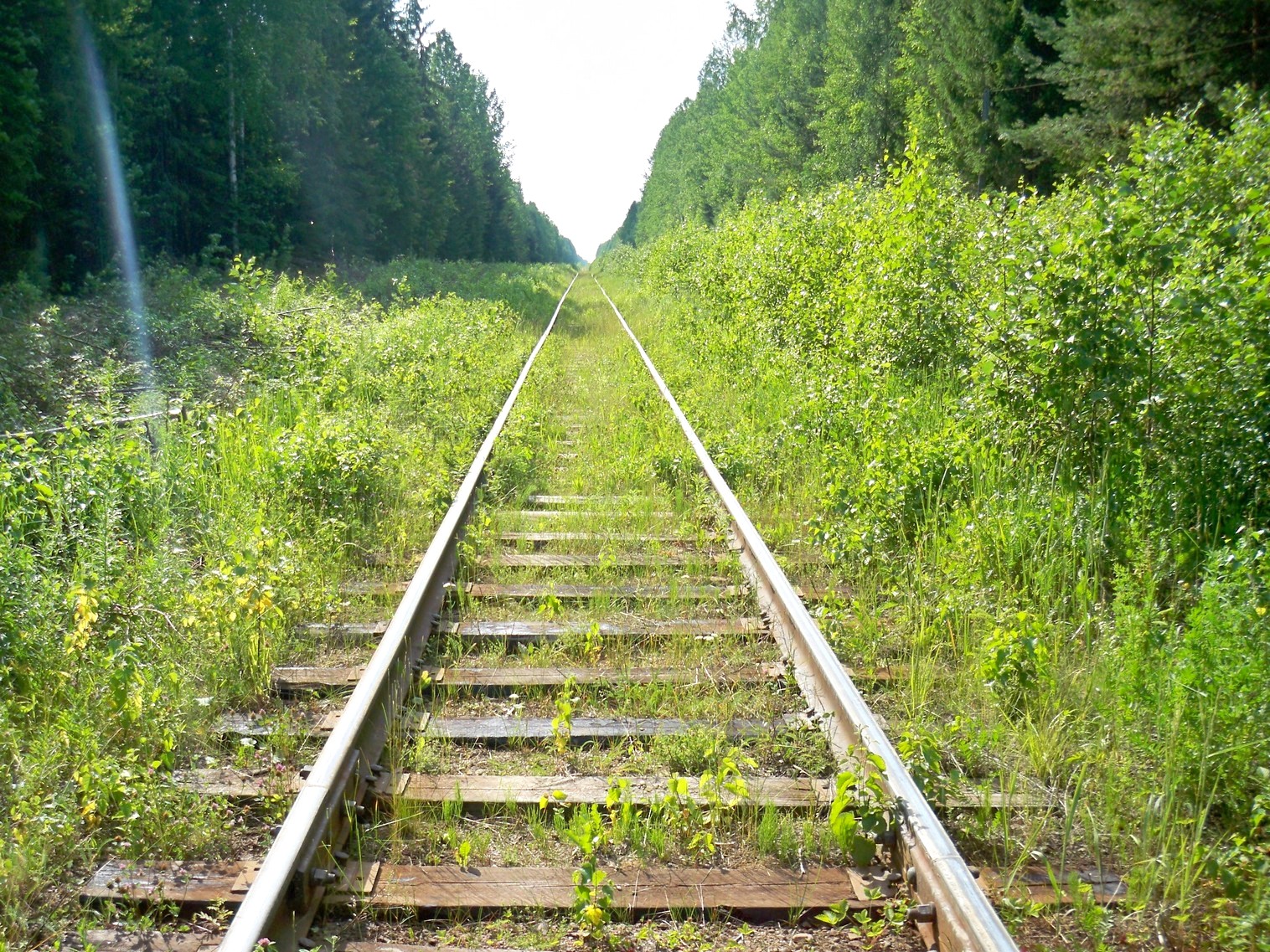Монзенская железная дорога
  —  фотографии, сделанные в 2013 году (часть 13)