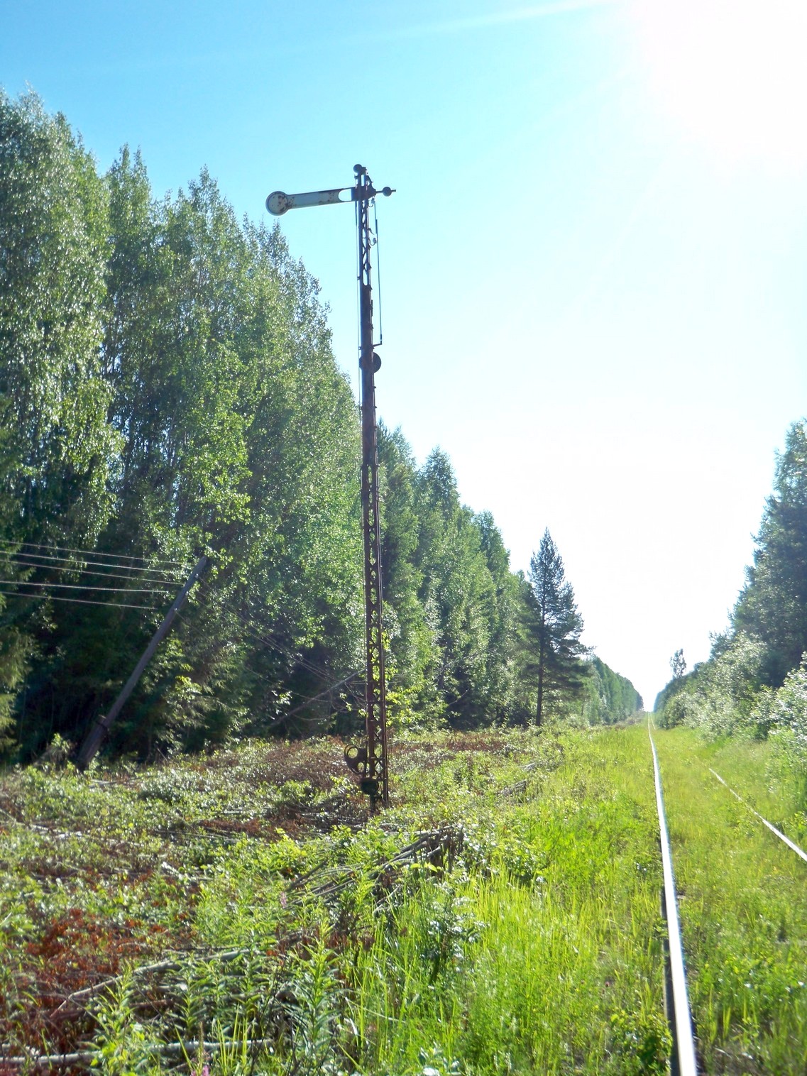 Монзенская железная дорога
  —  фотографии, сделанные в 2013 году (часть 17)