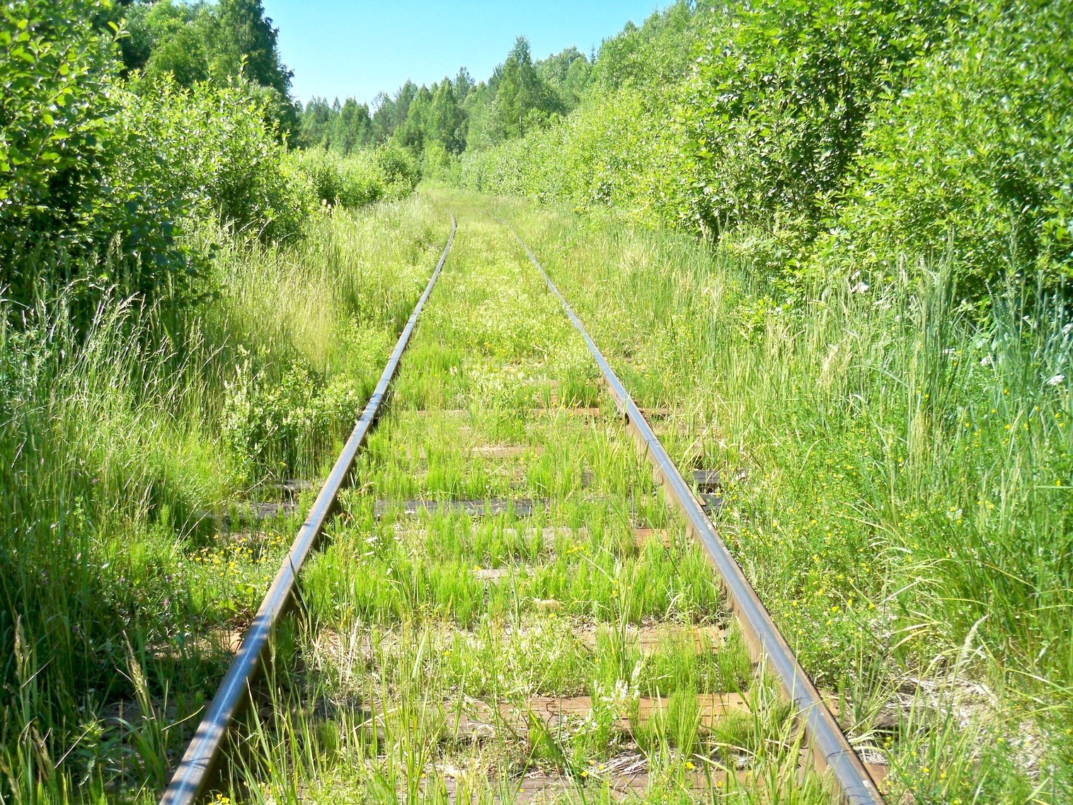 Монзенская железная дорога
  —  фотографии, сделанные в 2013 году (часть 25)