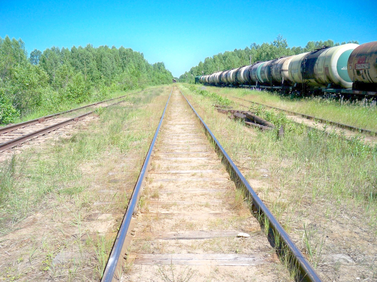 Монзенская железная дорога
  —  фотографии, сделанные в 2013 году (часть 28)