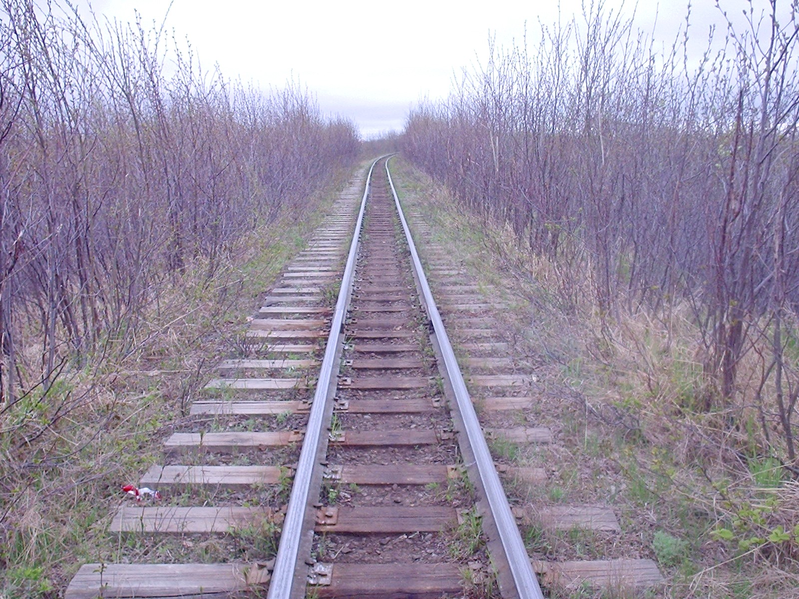 Узкоколейная железная дорога Оха — Ноглики - фотографии, сделанные в 2006 году (часть 7)