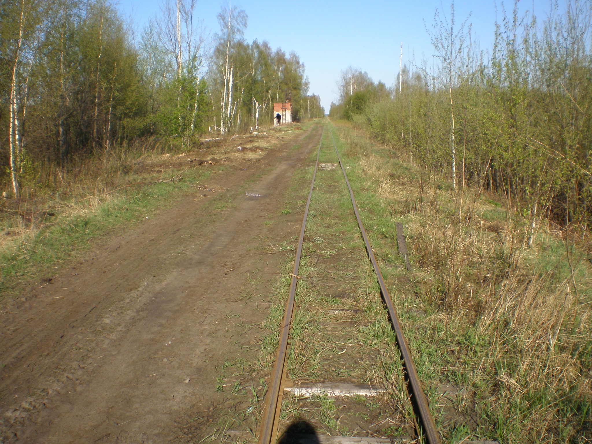 Узкоколейная железная дорога Шатурского транспортного управления — фотографии, сделанные в 2008 году (часть 17)