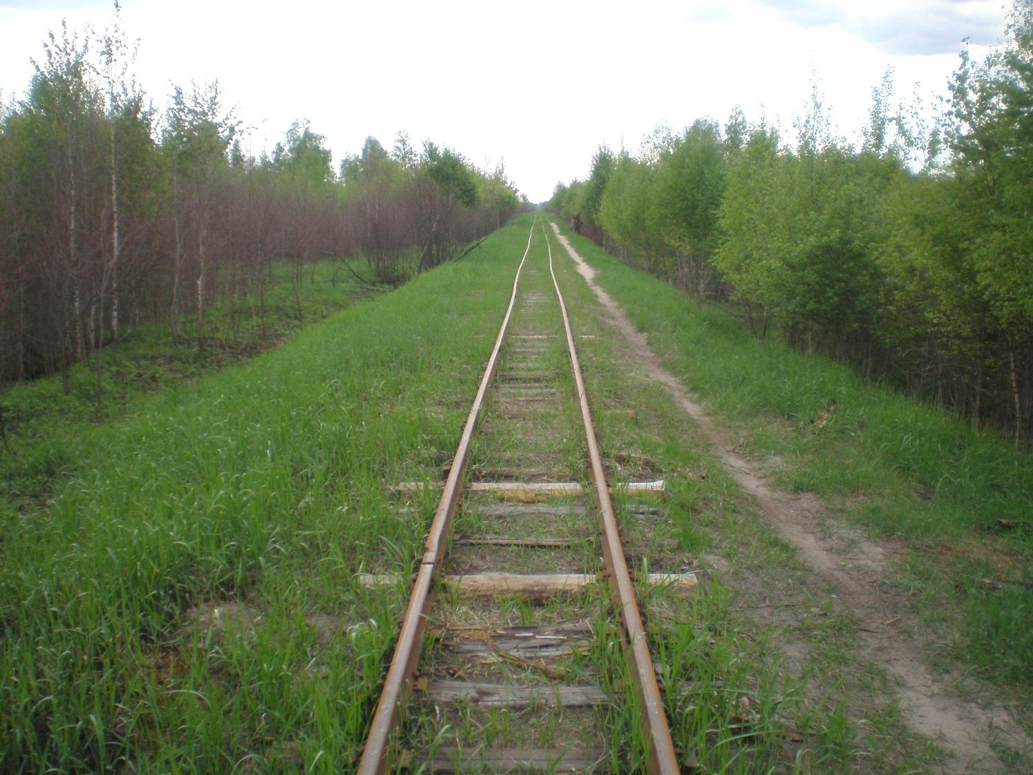 Узкоколейная железная дорога Шатурского транспортного управления — фотографии, сделанные в 2009 году (часть 12)