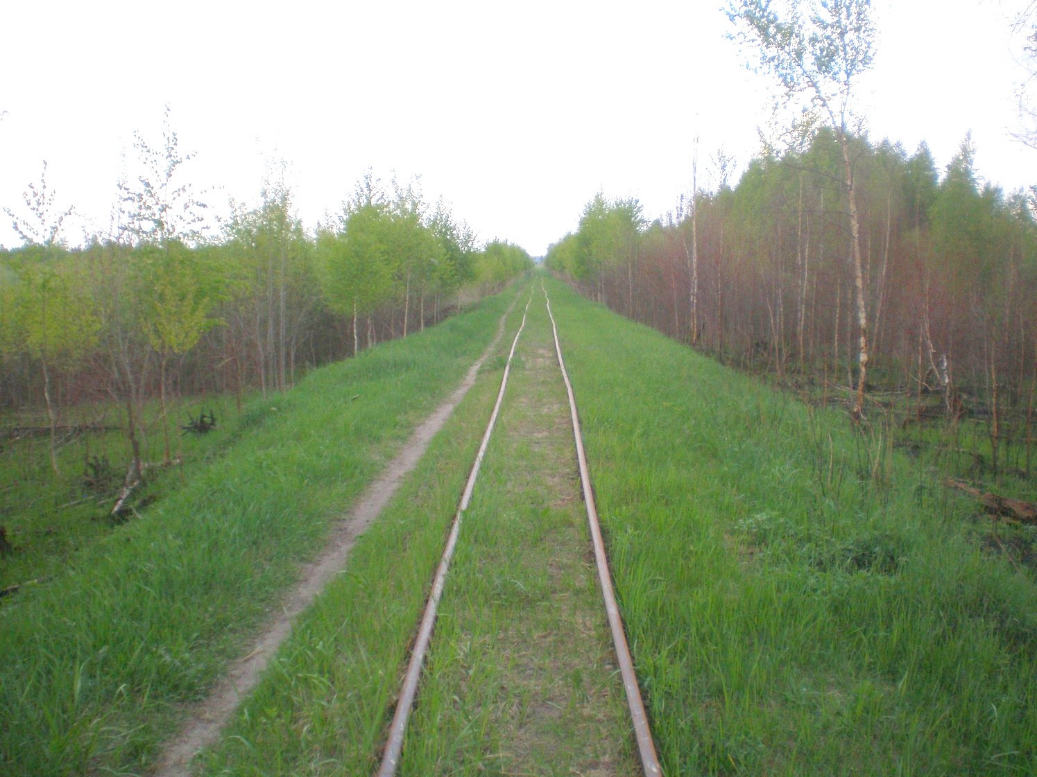 Узкоколейная железная дорога Шатурского транспортного управления — фотографии, сделанные в 2009 году (часть 13)