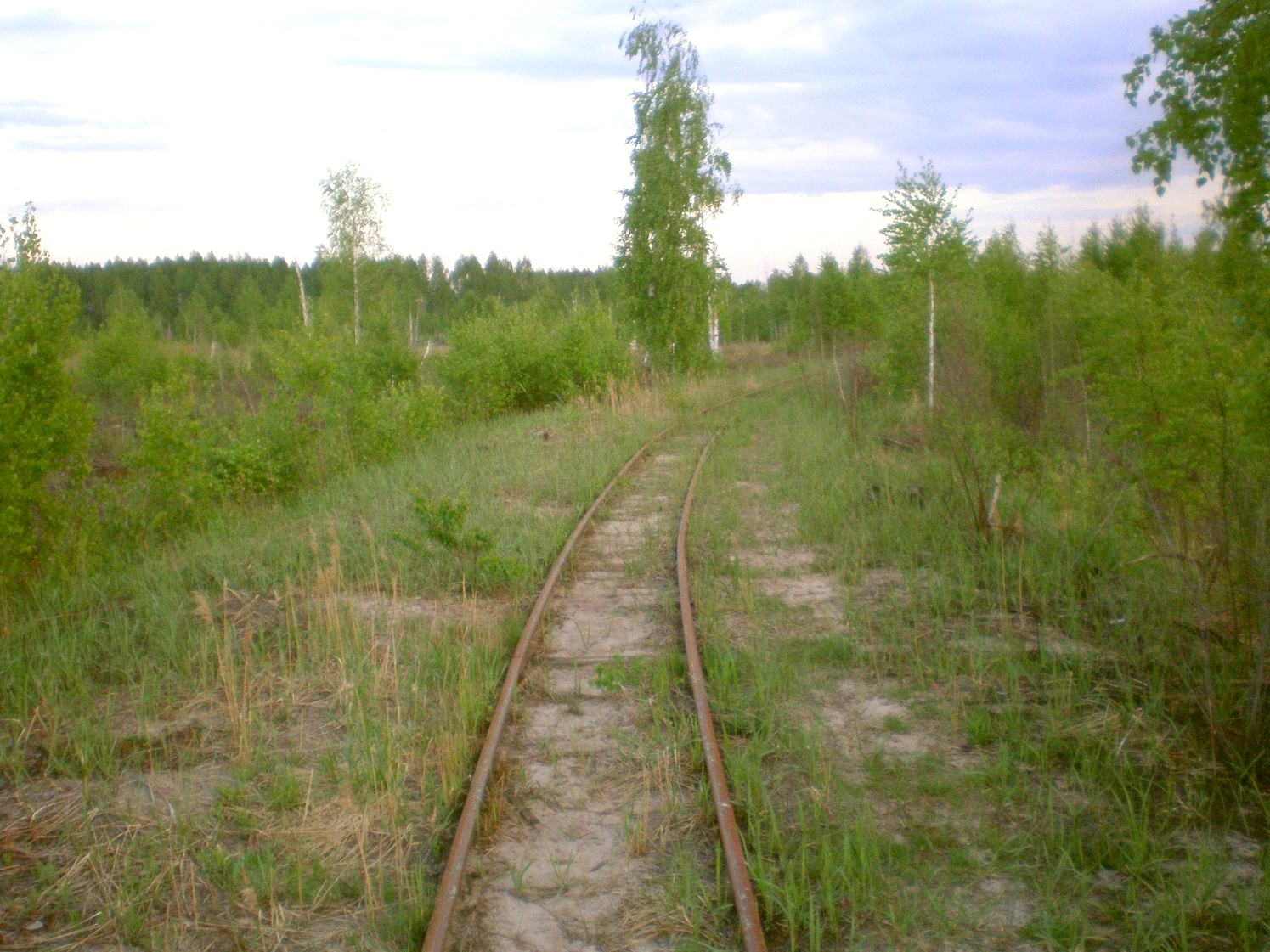 Узкоколейная железная дорога Шатурского транспортного управления — фотографии, сделанные в 2009 году (часть 21)