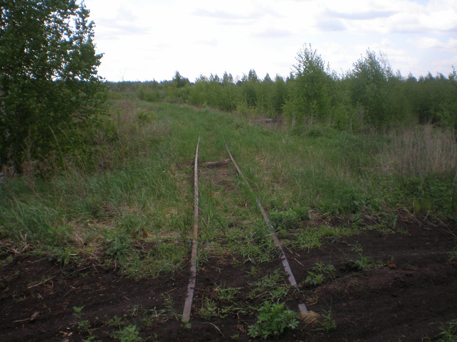 Узкоколейная железная дорога Шатурского транспортного управления — фотографии, сделанные в 2009 году (часть 37)