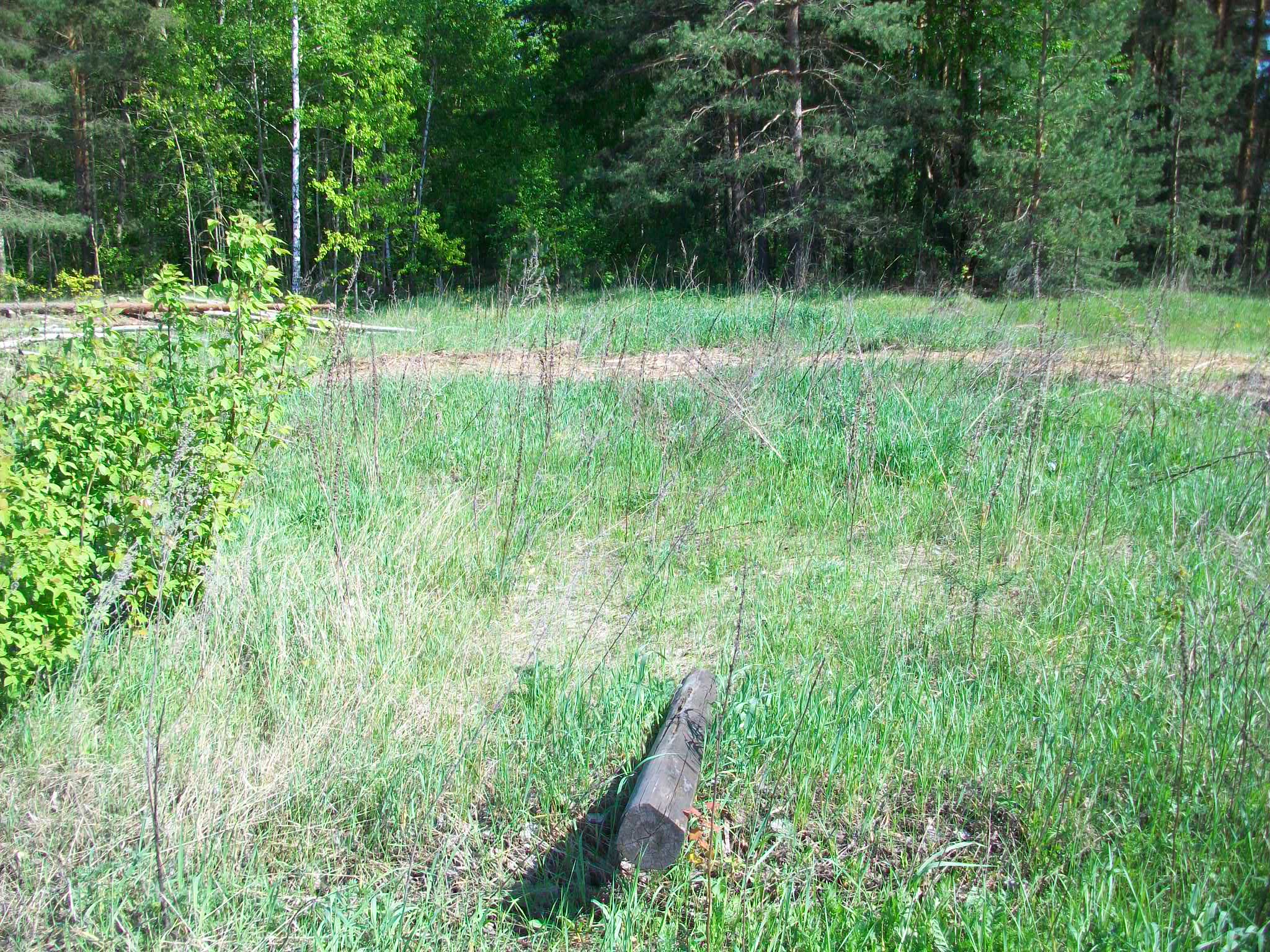 Узкоколейная железная дорога Шатурского транспортного управления — фотографии, сделанные в 2015 году