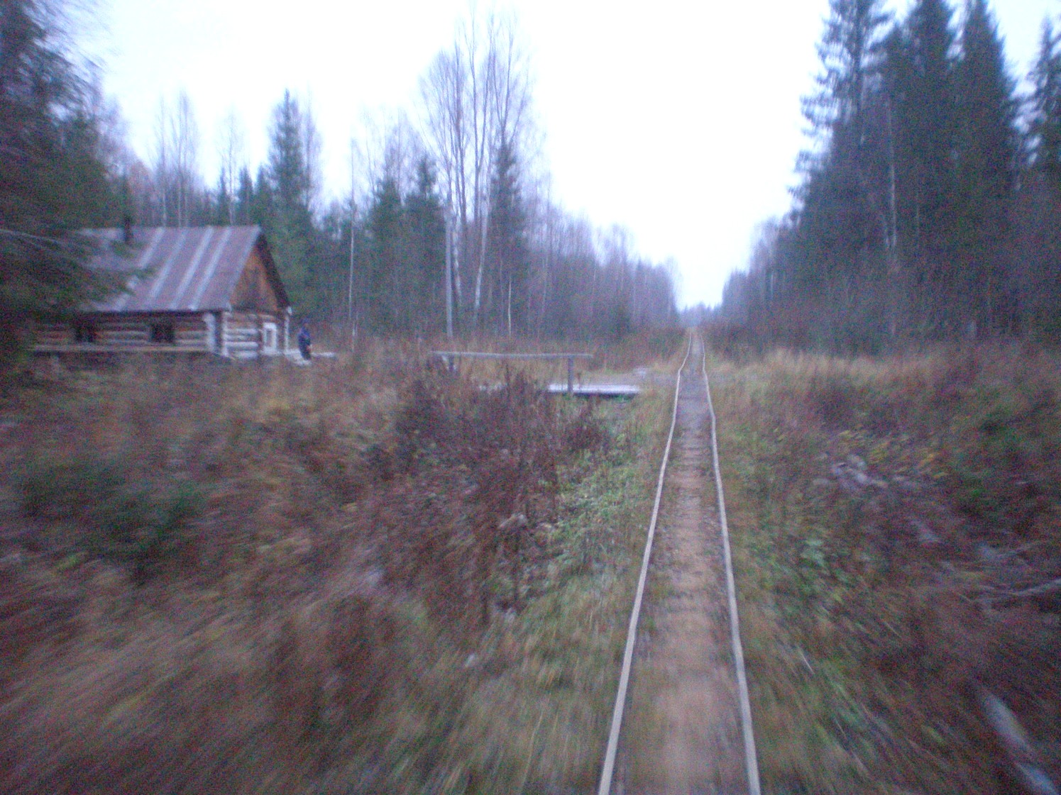 Пильвенская узкоколейная железная дорога  —  фотографии, сделанные в 2008 году (часть 11)