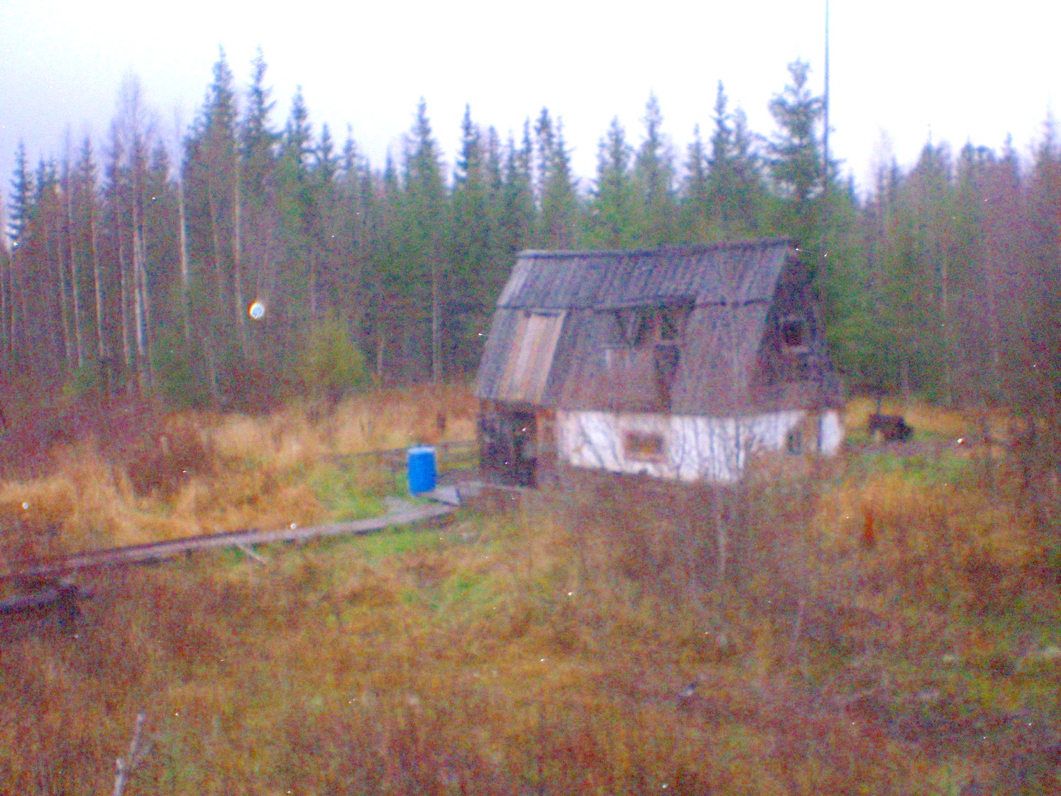 Пильвенская узкоколейная железная дорога  —  фотографии, сделанные в 2008 году (часть 22)