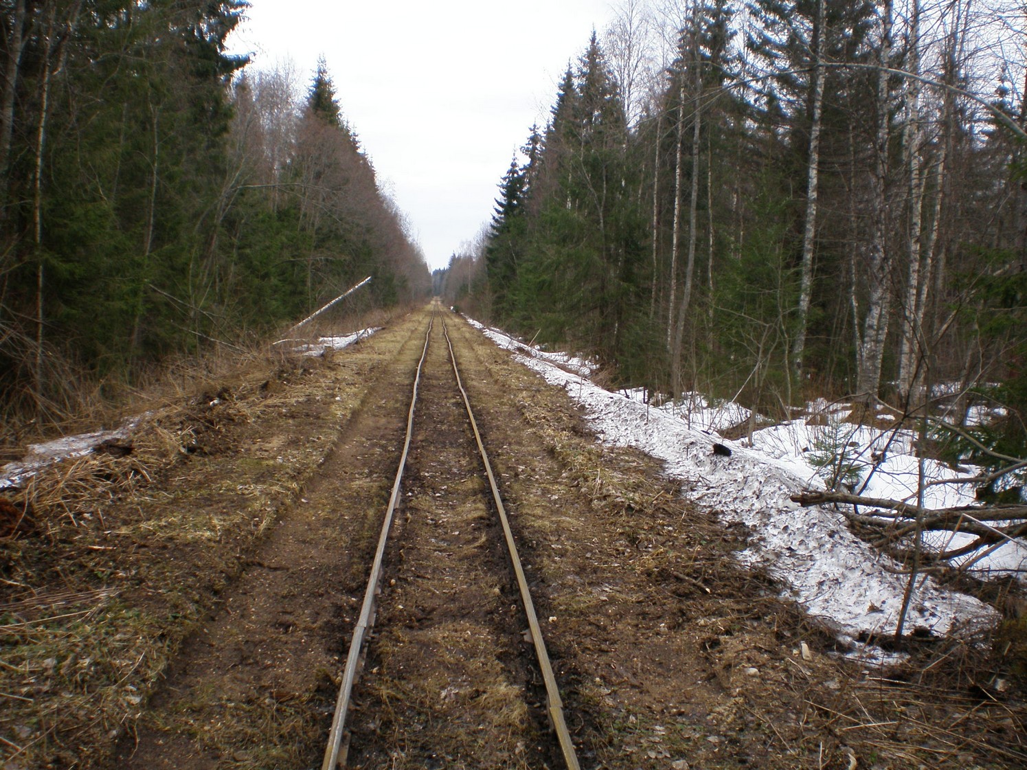 Узкоколейная железная дорога Ранцевского торфопредприятия  —  фотографии, сделанные в 2008 году (часть 6)