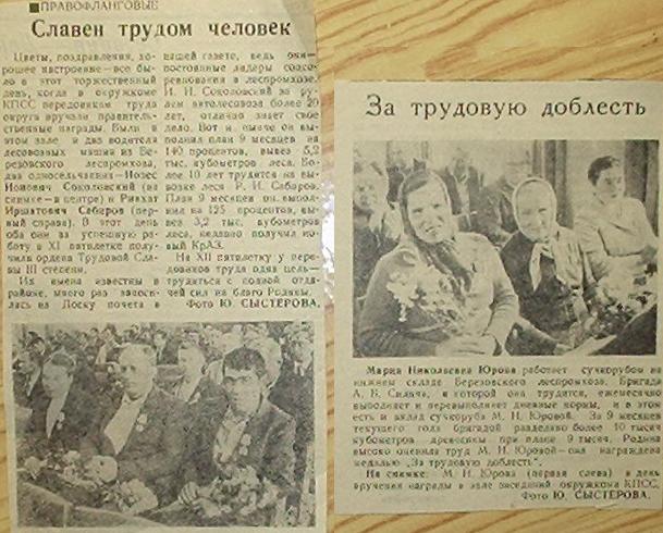 Берёзовская узкоколейная железная дорога