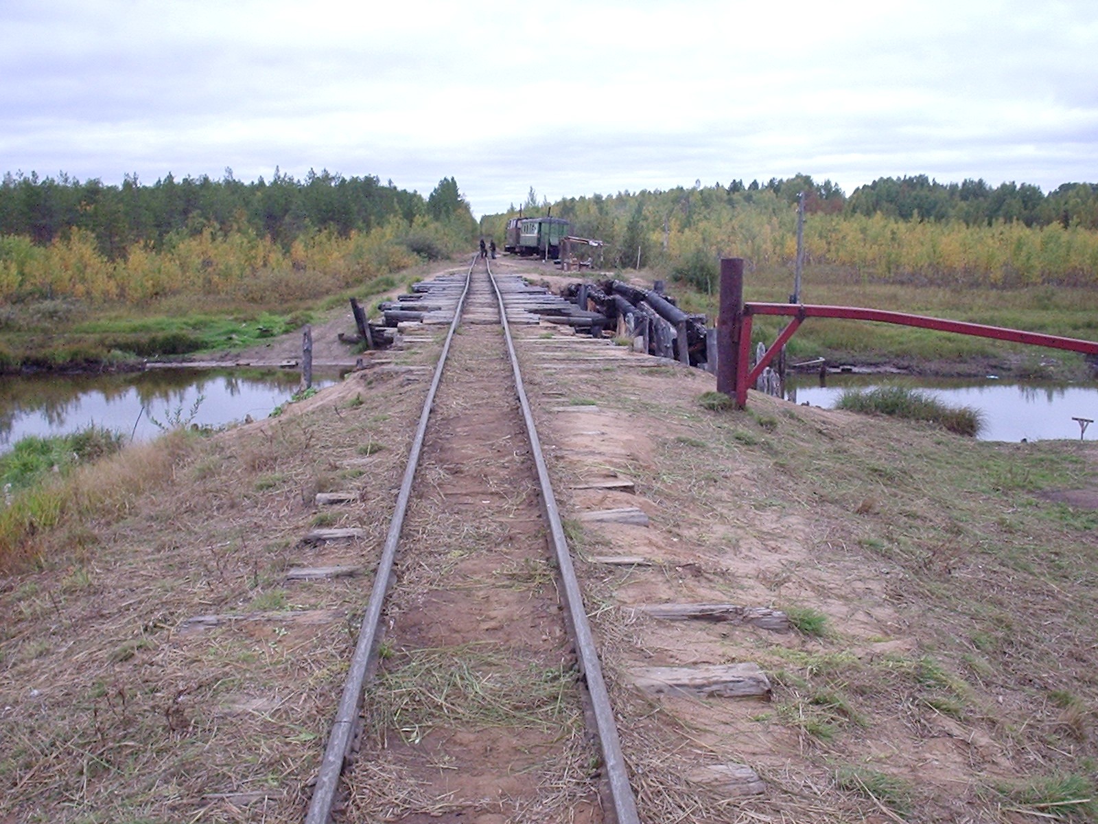 Синдорская узкоколейная железная дорога - фотографии (часть 5)
