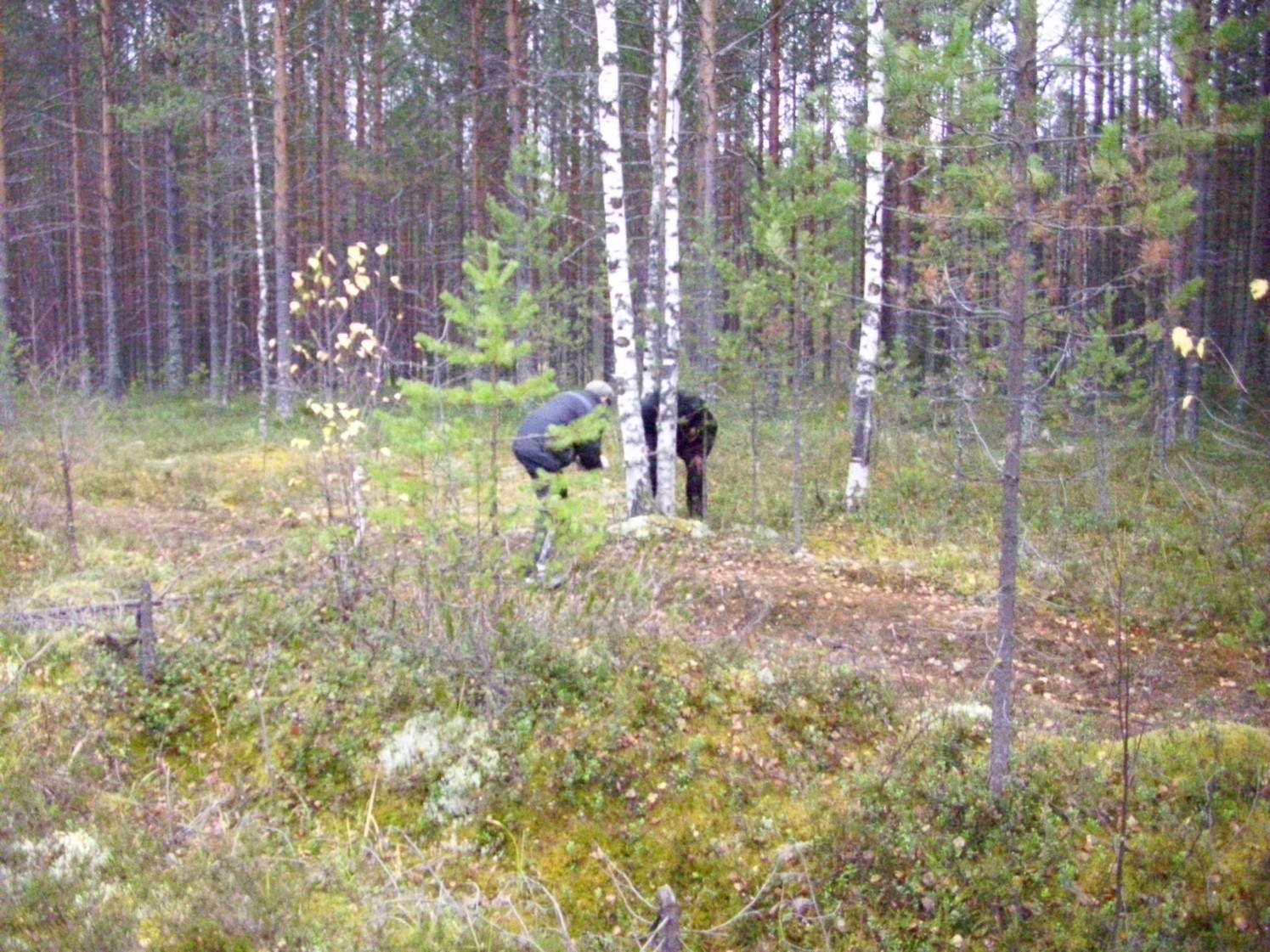 Чепецкая узкоколейная железная дорога  —  фотографии, сделанные в 2009 году (часть 12)