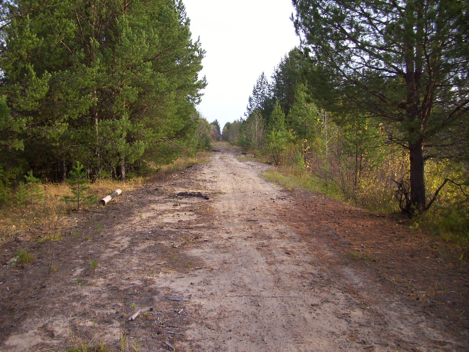 Чепецкая узкоколейная железная дорога  —  фотографии, сделанные в 2009 году (часть 5)