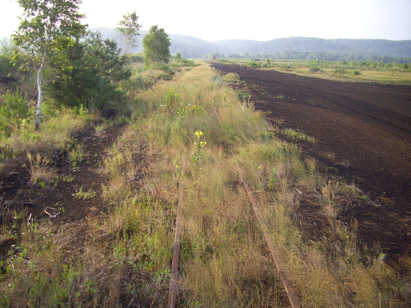 Узкоколейная железная дорога Шумского торфобрикетного завода   — фотографии, сделанные в 2011 году