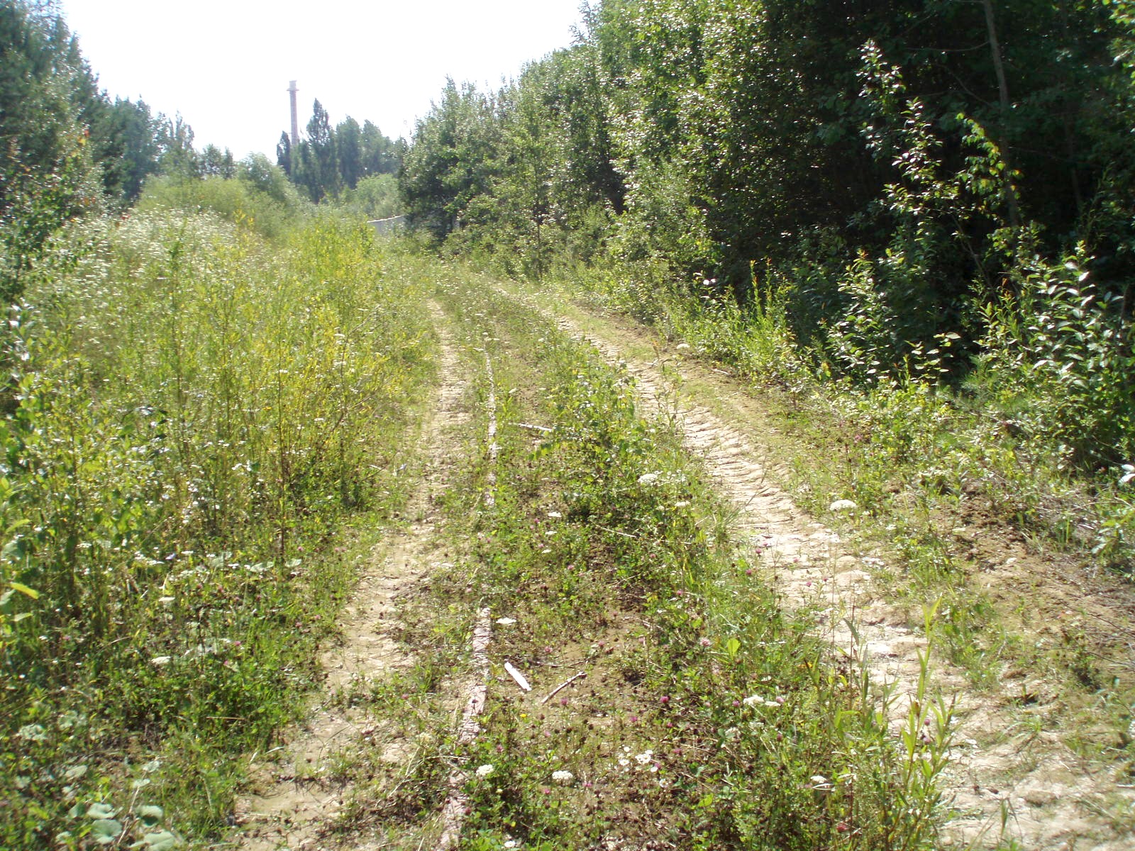 Узкоколейная железная дорога Любомирского силикатно-известкового завода  —  фотографии, сделанные в 2007 году