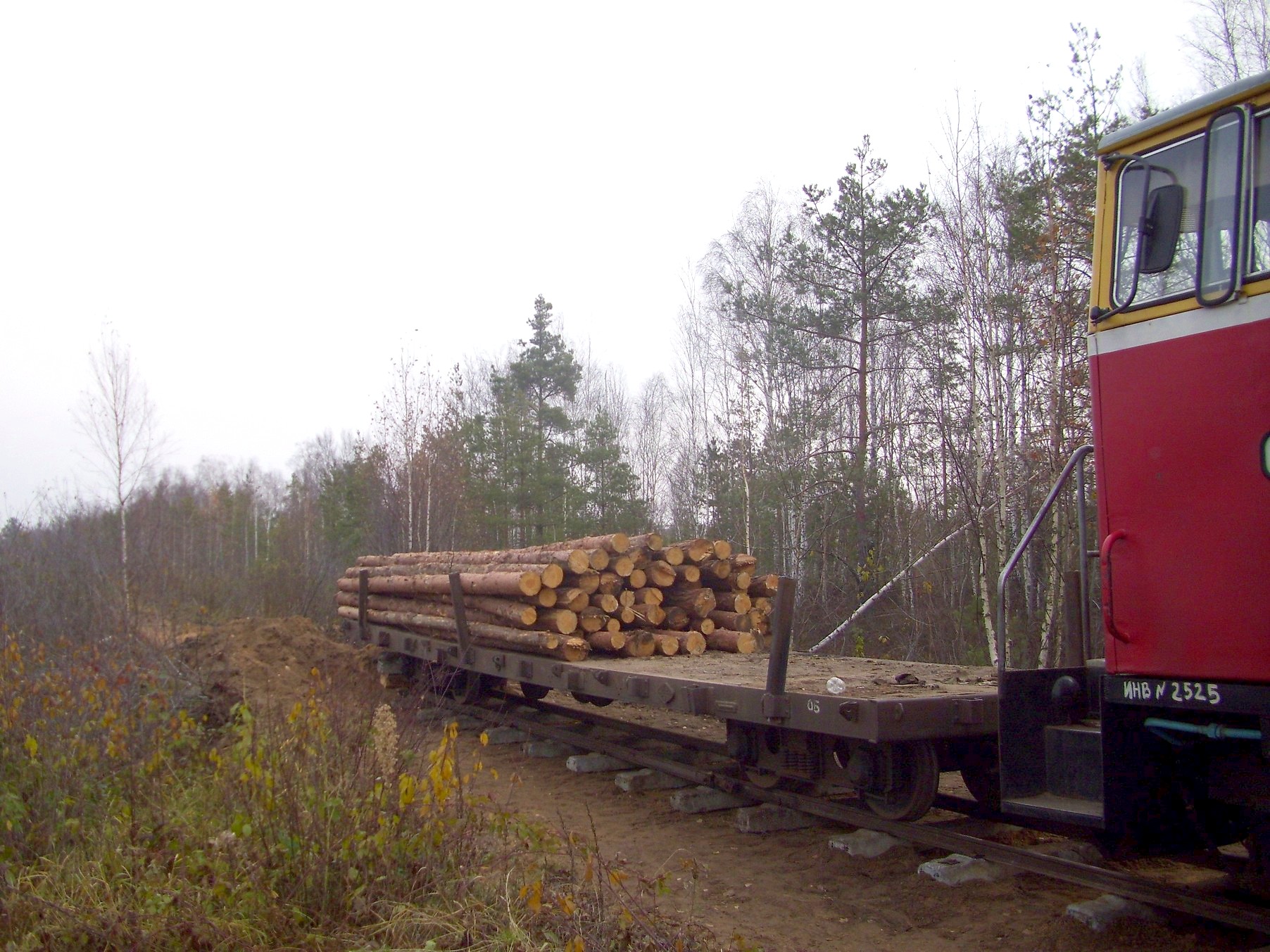 Узкоколейная железная дорога торфопредприятия «Татарка» — фотографии, сделанные в 2011 году (часть 5)