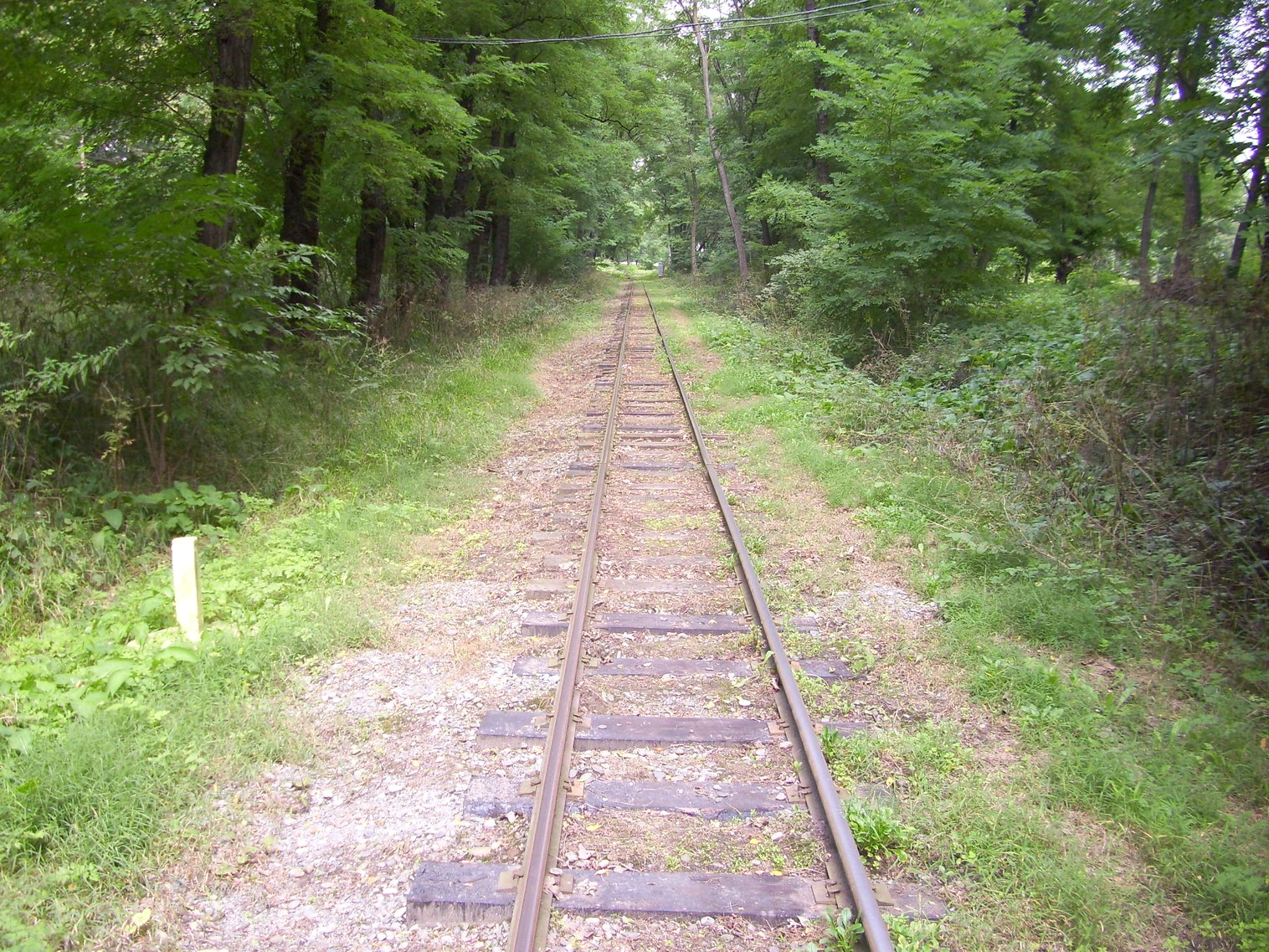 Владикавказская детская железная дорога  —  фотографии, сделанные в 2011 году (часть 6)