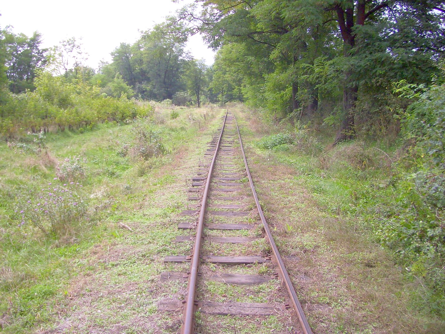 Владикавказская детская железная дорога  —  фотографии, сделанные в 2011 году (часть 4)