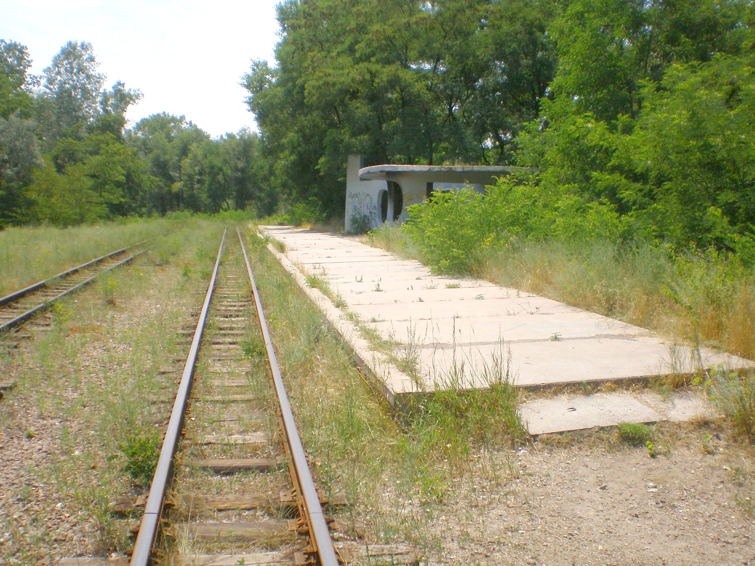 Запорожская детская железная дорога   —  фотографии, сделанные в 2009 году (часть 8)