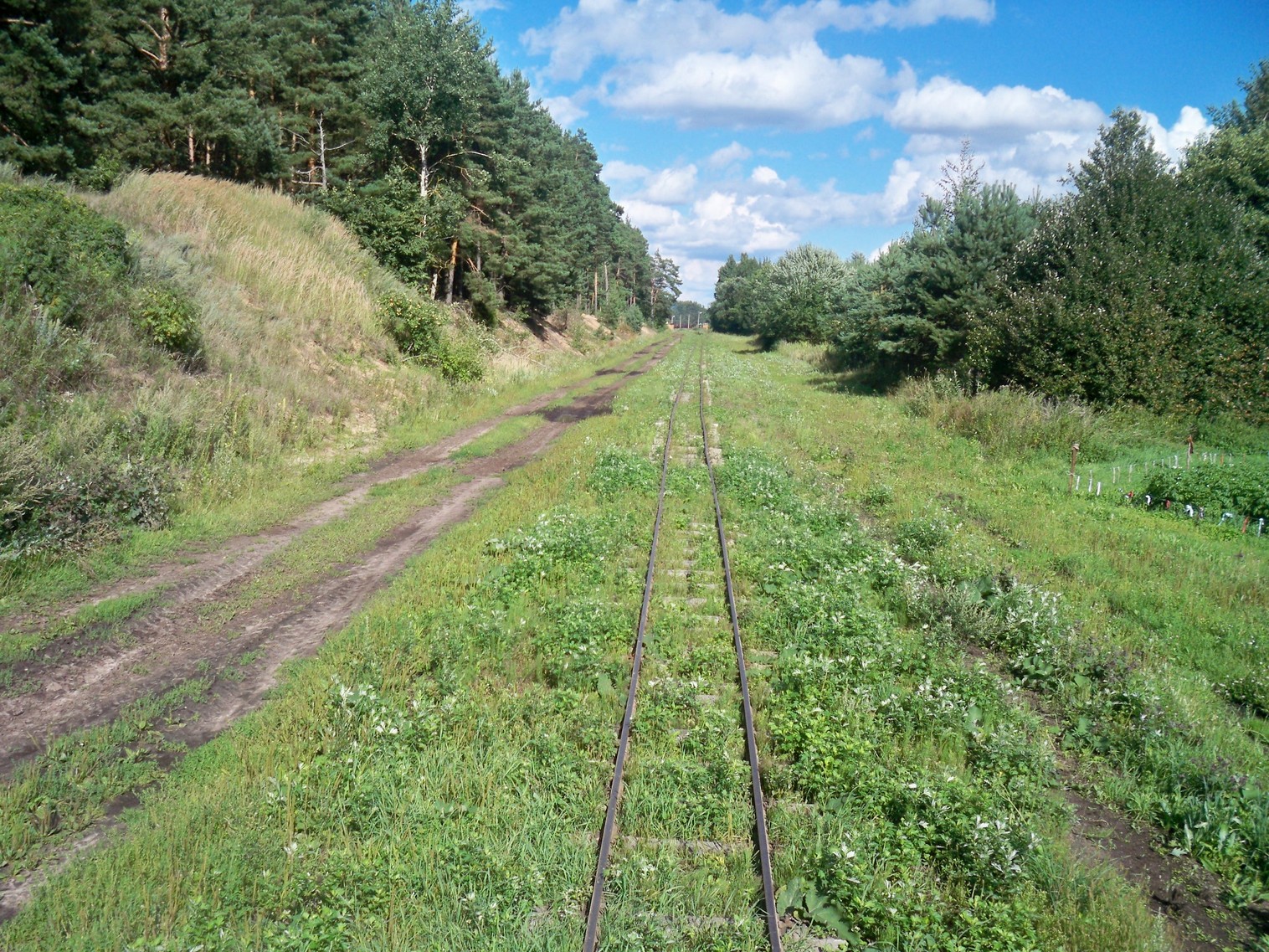 Узкоколейная железная дорога Браславского торфопредприятия
  —  фотографии, сделанные в 2013 году (часть 6)