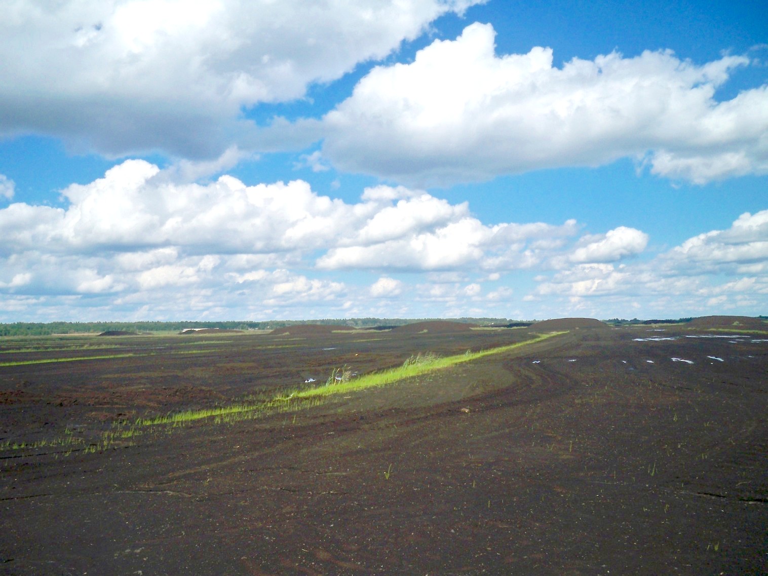Узкоколейная железная дорога Браславского торфопредприятия
  —  фотографии, сделанные в 2013 году (часть 3)