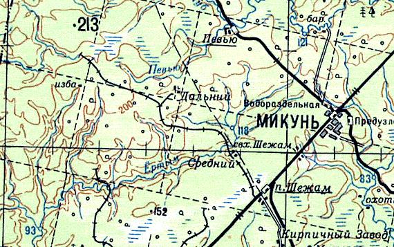 Узкоколейная железная дорога в посёлке Шежам