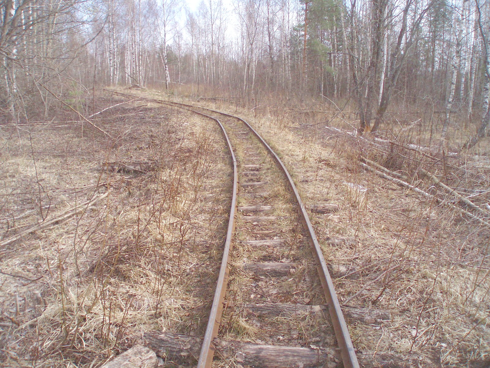 Узкоколейная железная дорога Кимрского торфопредприятия  — фотографии, сделанные в 2007 году (часть 13)