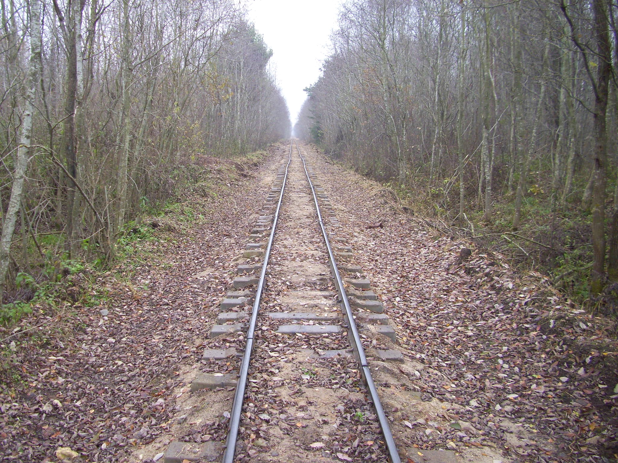 Узкоколейная железная дорога Докшицкого торфопредприятия
  —  фотографии, сделанные в 2011 году (часть 4)