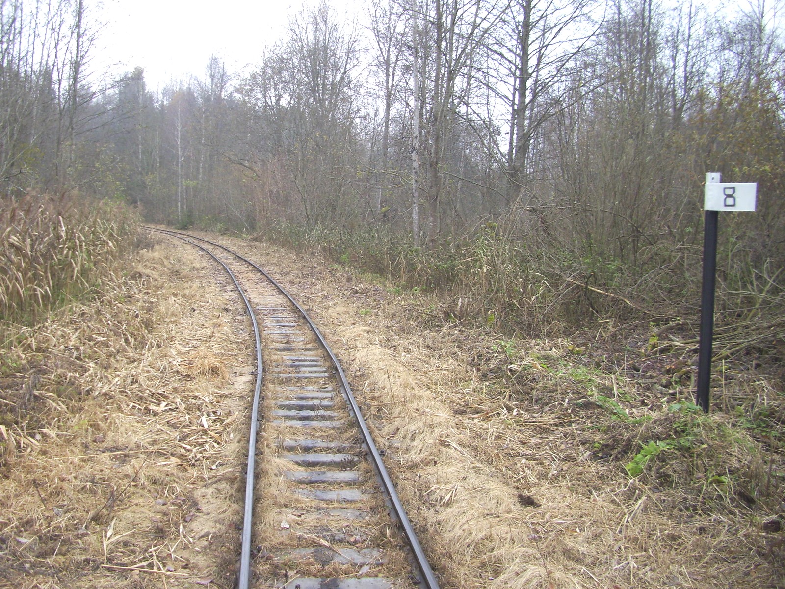 Узкоколейная железная дорога Докшицкого торфопредприятия
  —  фотографии, сделанные в 2011 году (часть 5)