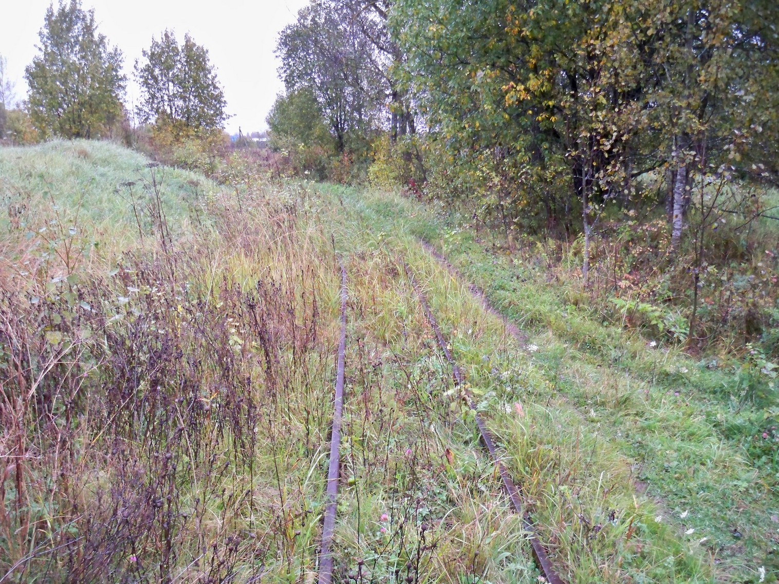 Нелидовская узкоколейная железная дорога 
  —  фотографии, сделанные в 2012 году (часть 14)