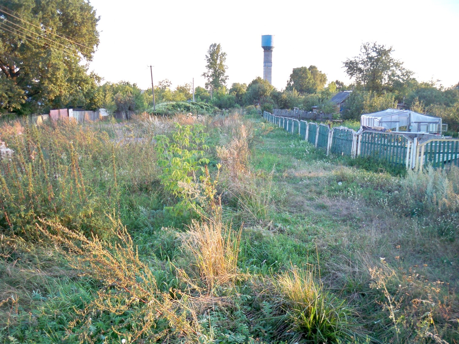 Узкоколейная железная дорога Туголицкого биохимического завода
  —  фотографии, сделанные в 2013 году