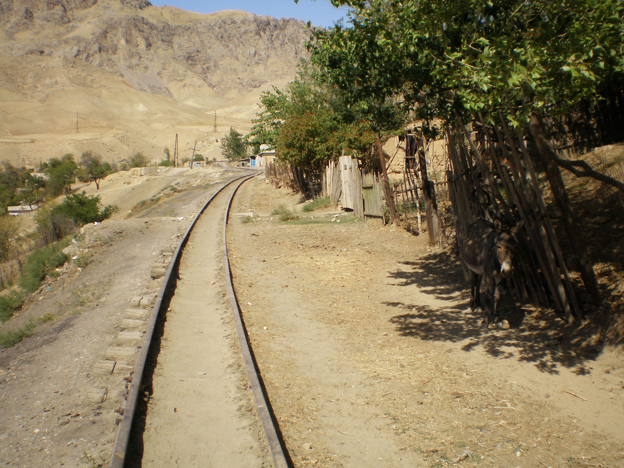 Сулюктинская узкоколейная железная дорога  —  фотографии, сделанные в 2008 году (часть 67)