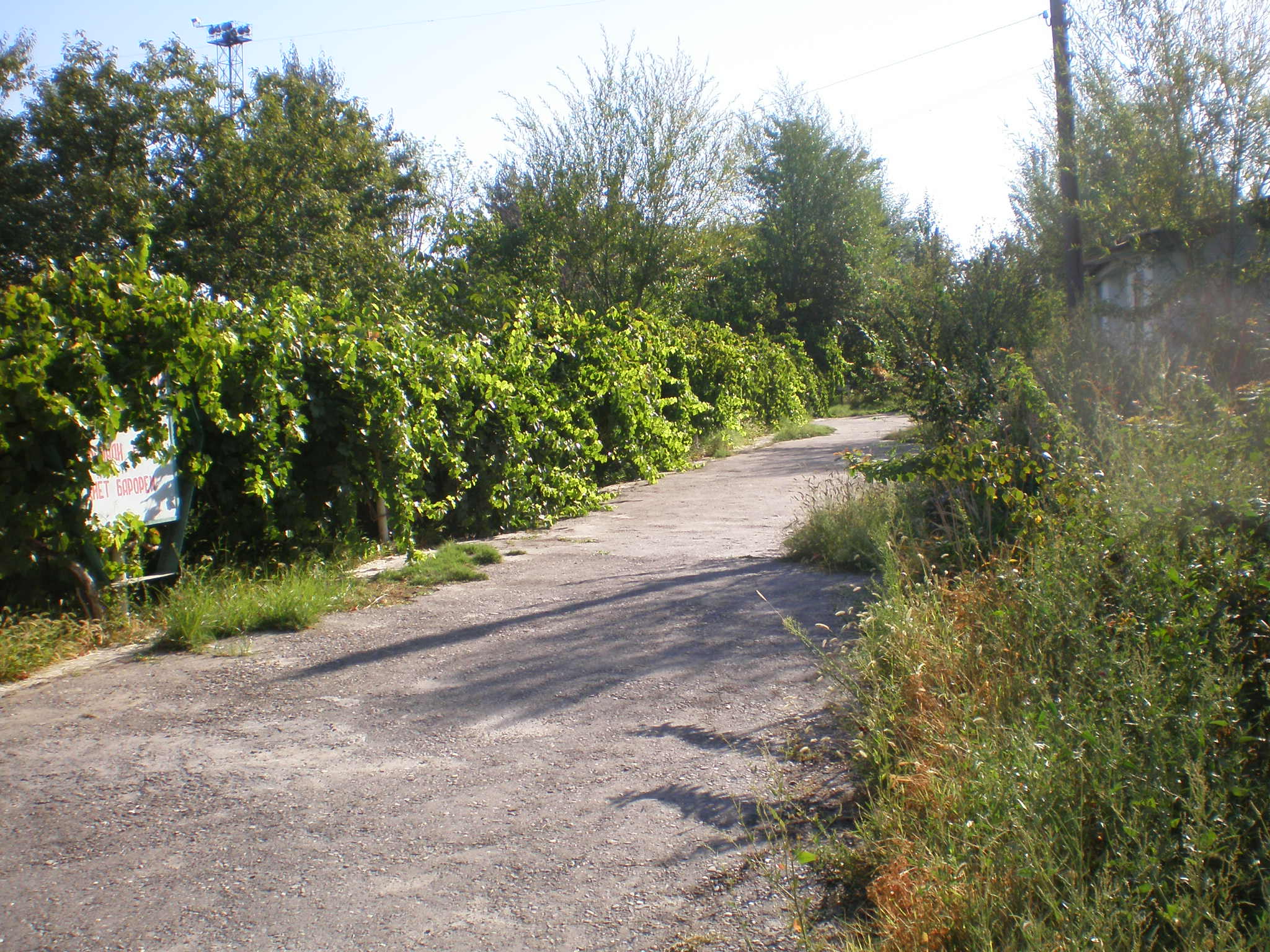 Сулюктинская узкоколейная железная дорога  —  фотографии, сделанные в 2008 году (часть 70)