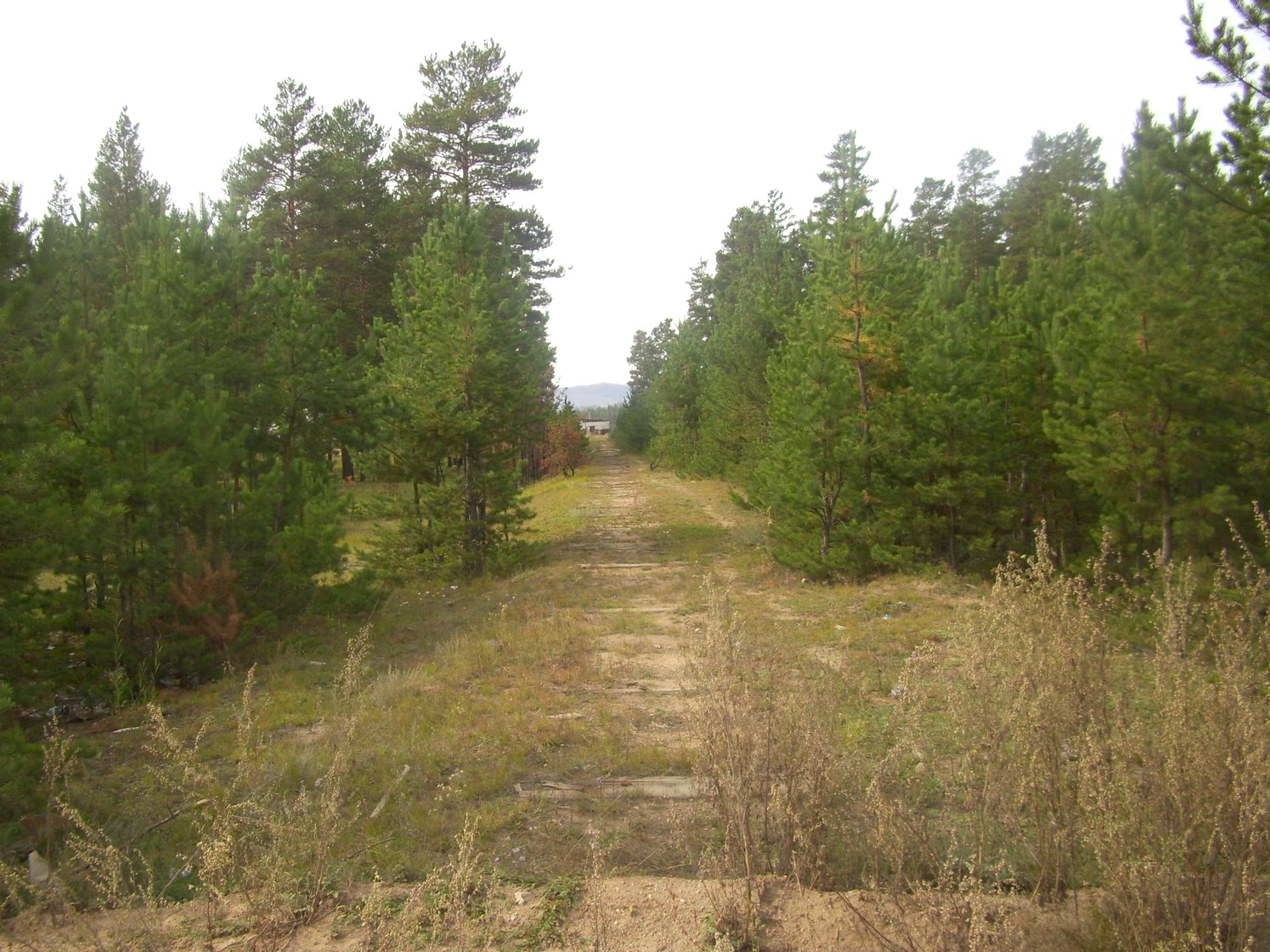 Хандагатайская узкоколейная железная дорога — фотографии, сделанные в 2009 году (часть 2)