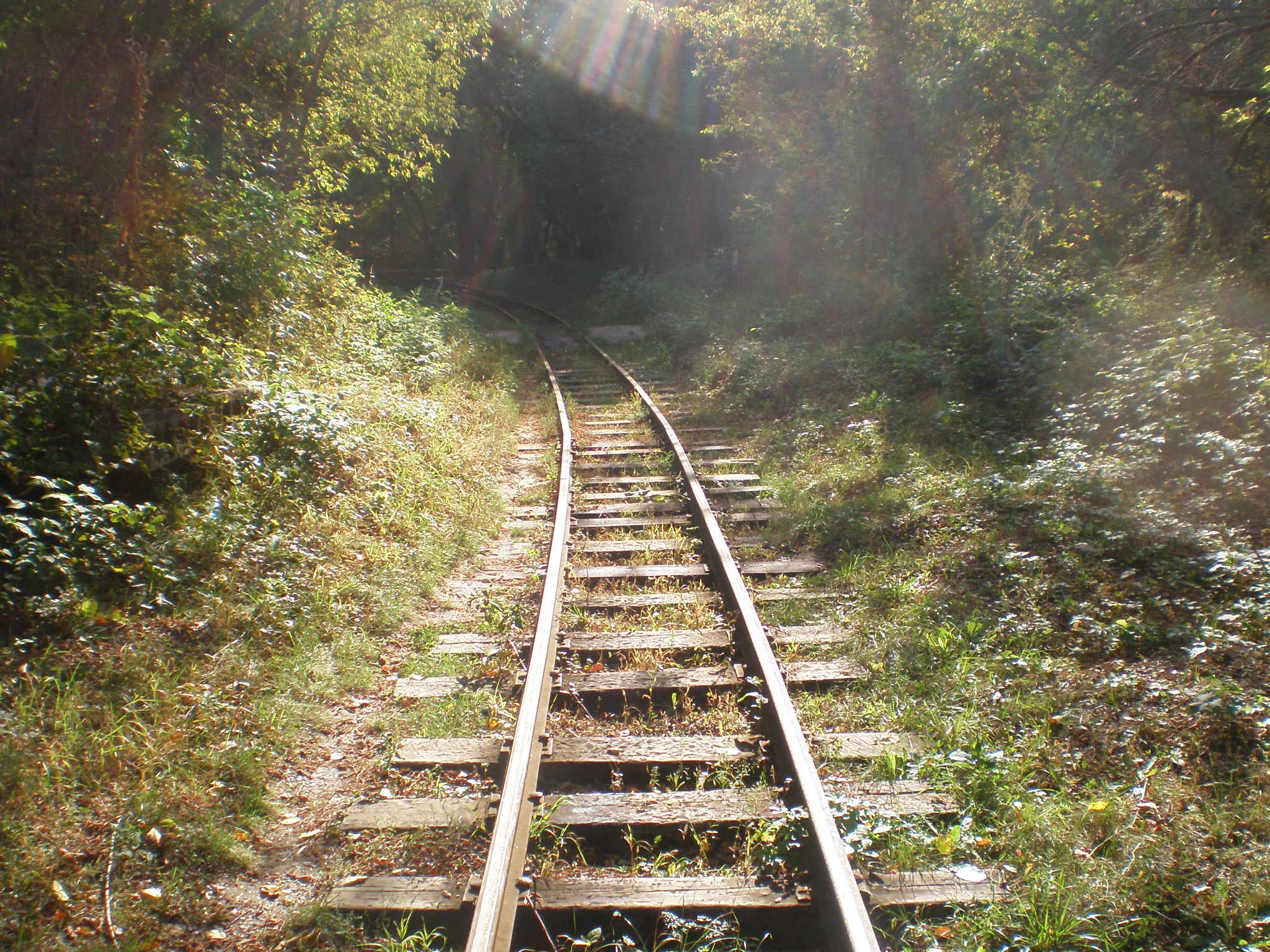 Оренбургская детская железная дорога  —  фотографии, сделанные в 2008 году (часть 9)