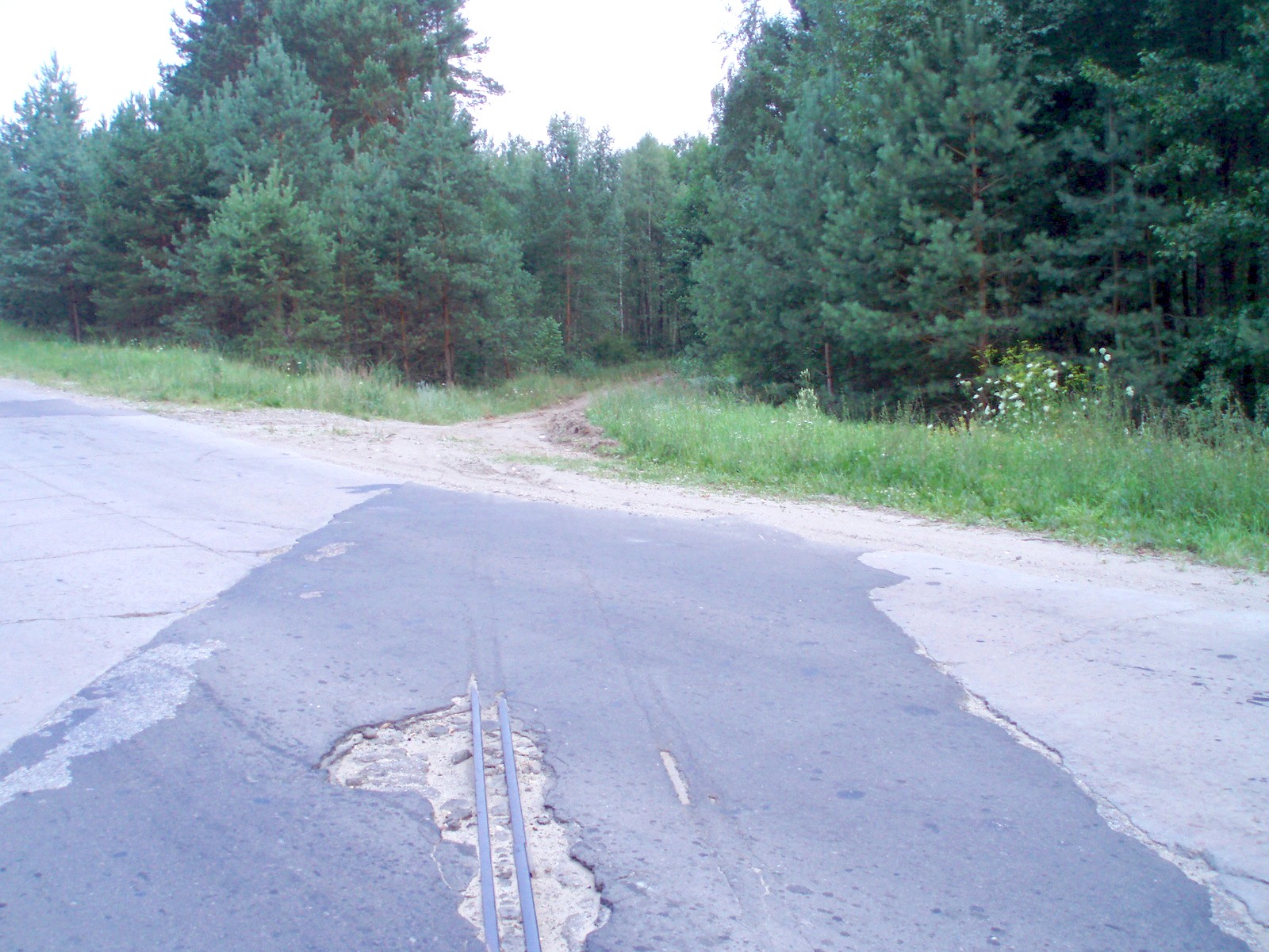 Узкоколейная железная дорога Брянского торфопредприятия  — фотографии, сделанные в 2007 году