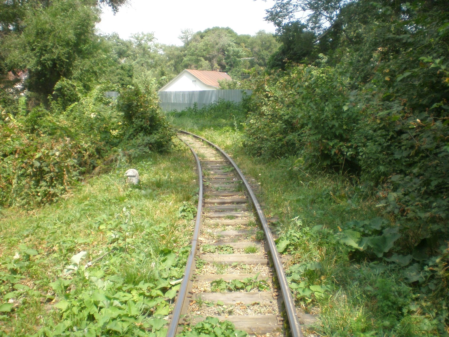 Алма-Атинская детская железная дорога  —  фотографии, сделанные в 2009 году (часть 2)