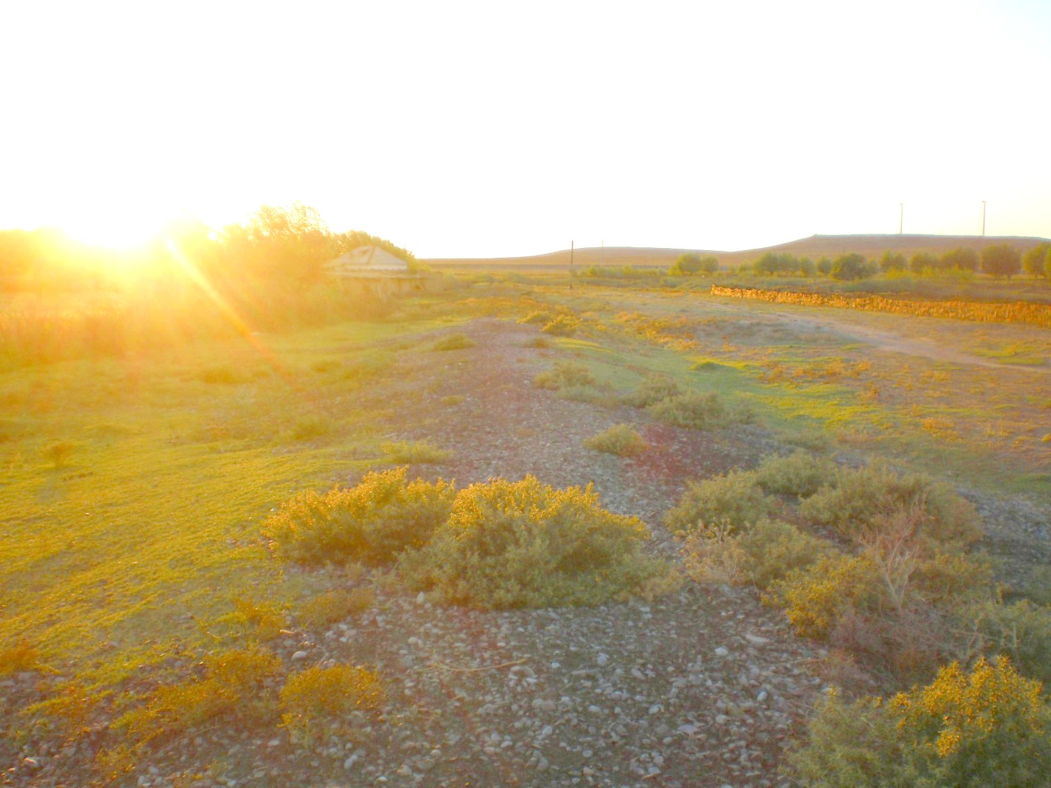 Узкоколейная железная дорога Кентау — Ачисай  —  фотографии, сделанные в 2008 году