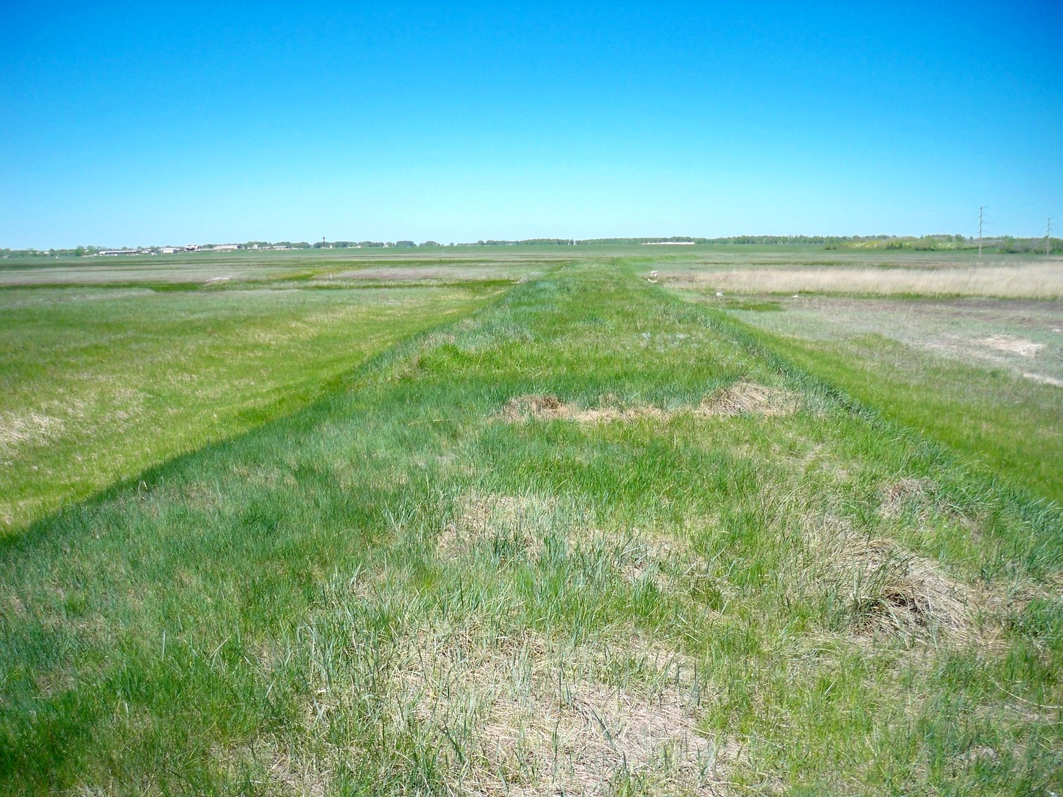 Узкоколейная железная дорога Булаево — Молодогвардейская — фотографии, сделанные в 2013 году (часть 1)