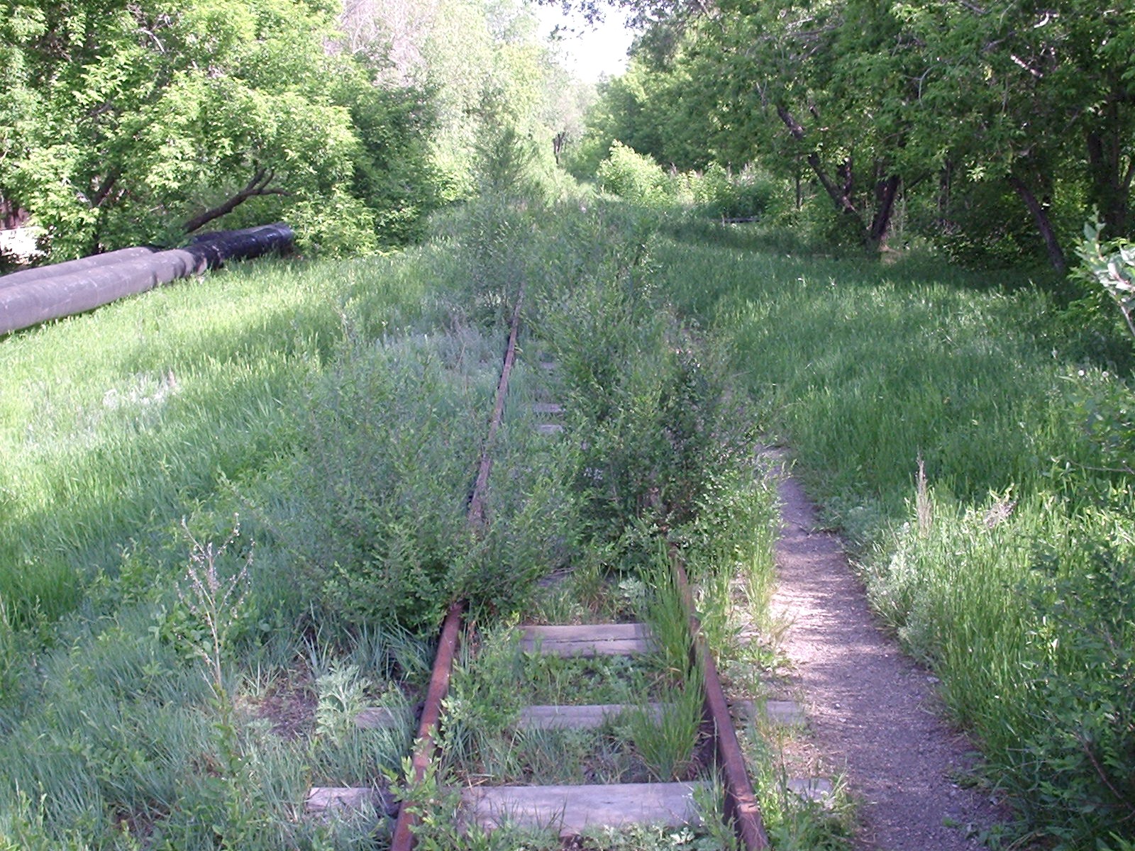 Карагандинская детская железная дорога - фотографии, сделанные в 2007 году  (часть 3)