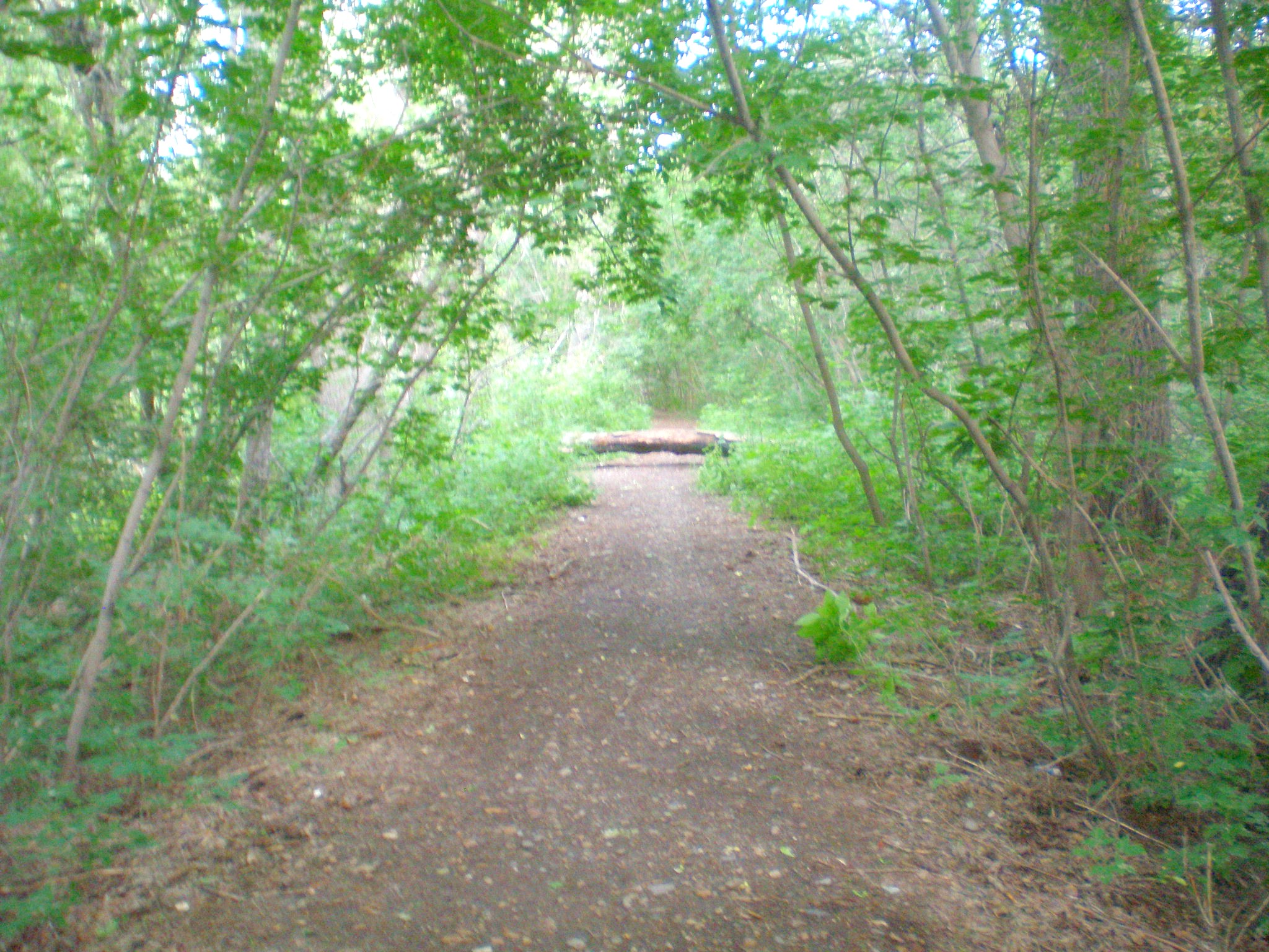 Семипалатинская детская железная дорога  —  фотографии, сделанные в 2009 году (часть 1)