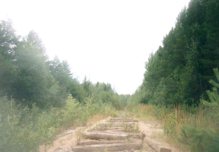 Рякинская узкоколейная железная дорога