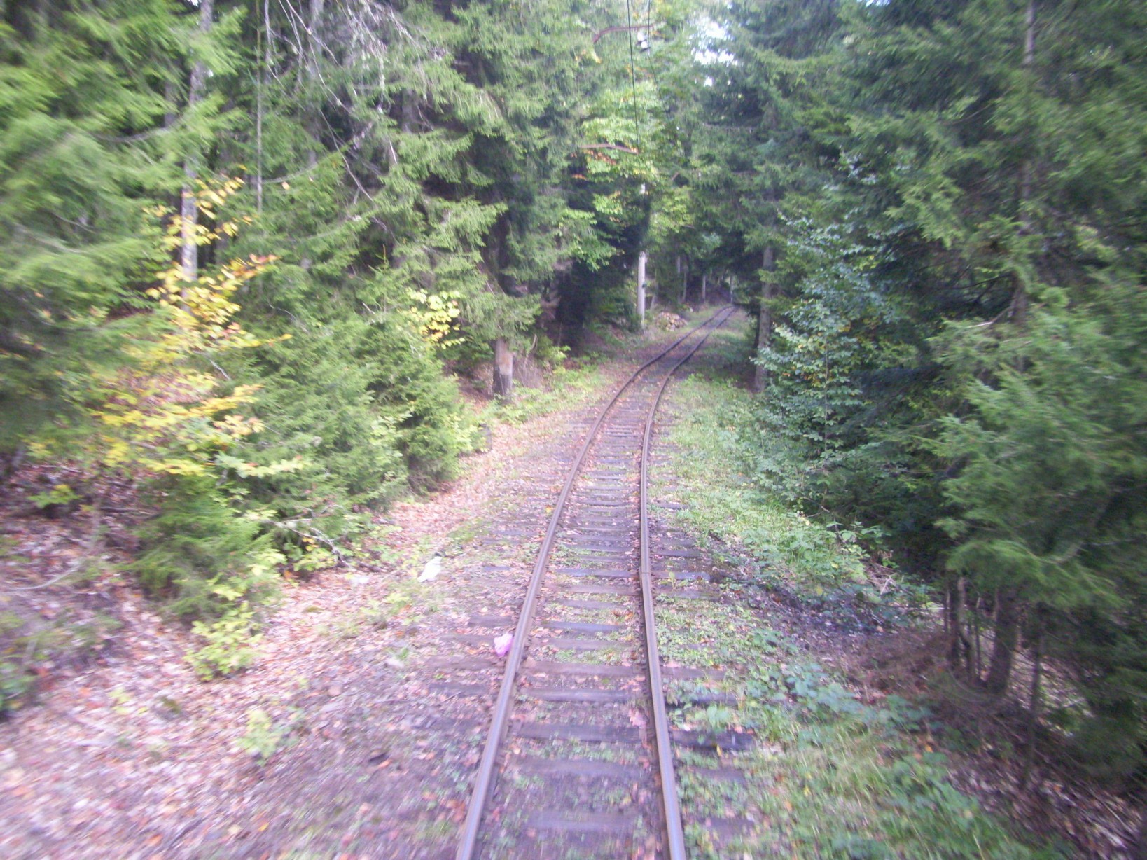 Узкоколейная железная дорога Боржоми — Бакуриани — фотографии, сделанные в 2010 году (часть 12)